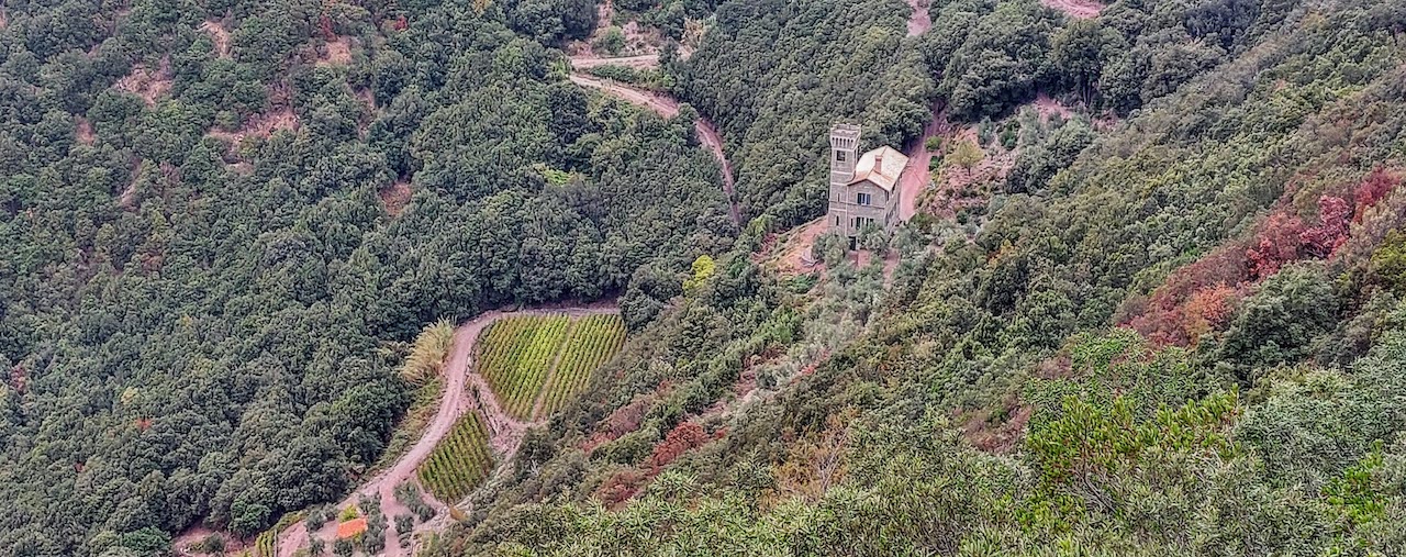 sentiero portovenere campiglia