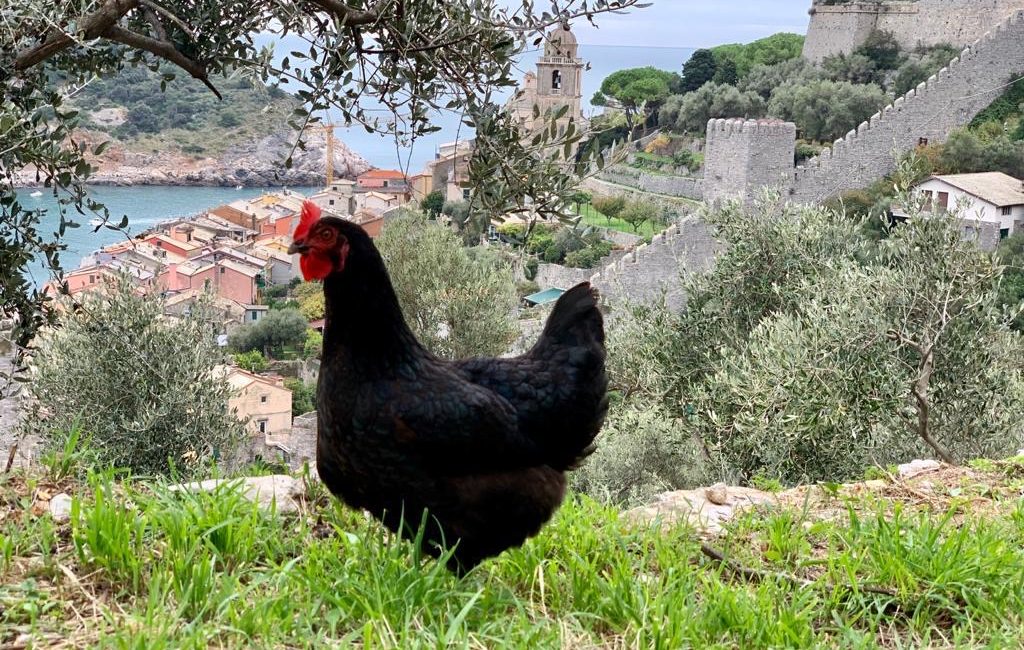 portovenere cosa fare in 1 2 3 giorni