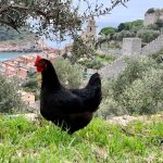 portovenere cosa fare in 1 2 3 giorni