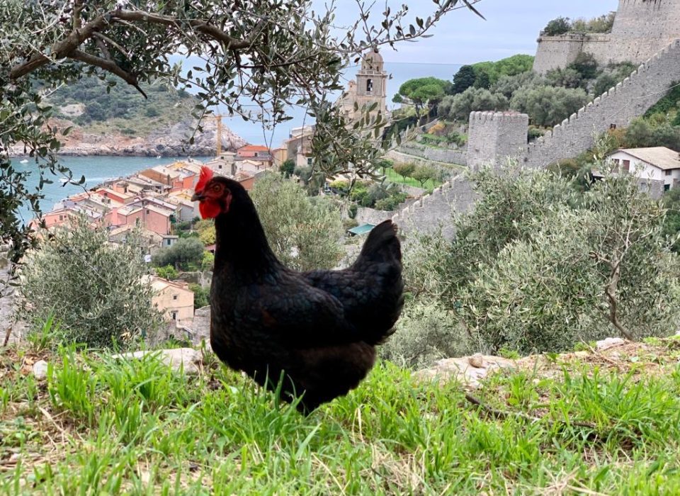portovenere cosa fare in 1 2 3 giorni
