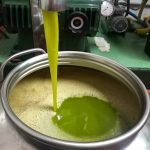 olio portovenere frantoio