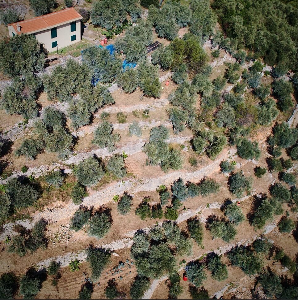 Screenshot oliveto orti timone carugio portovenere