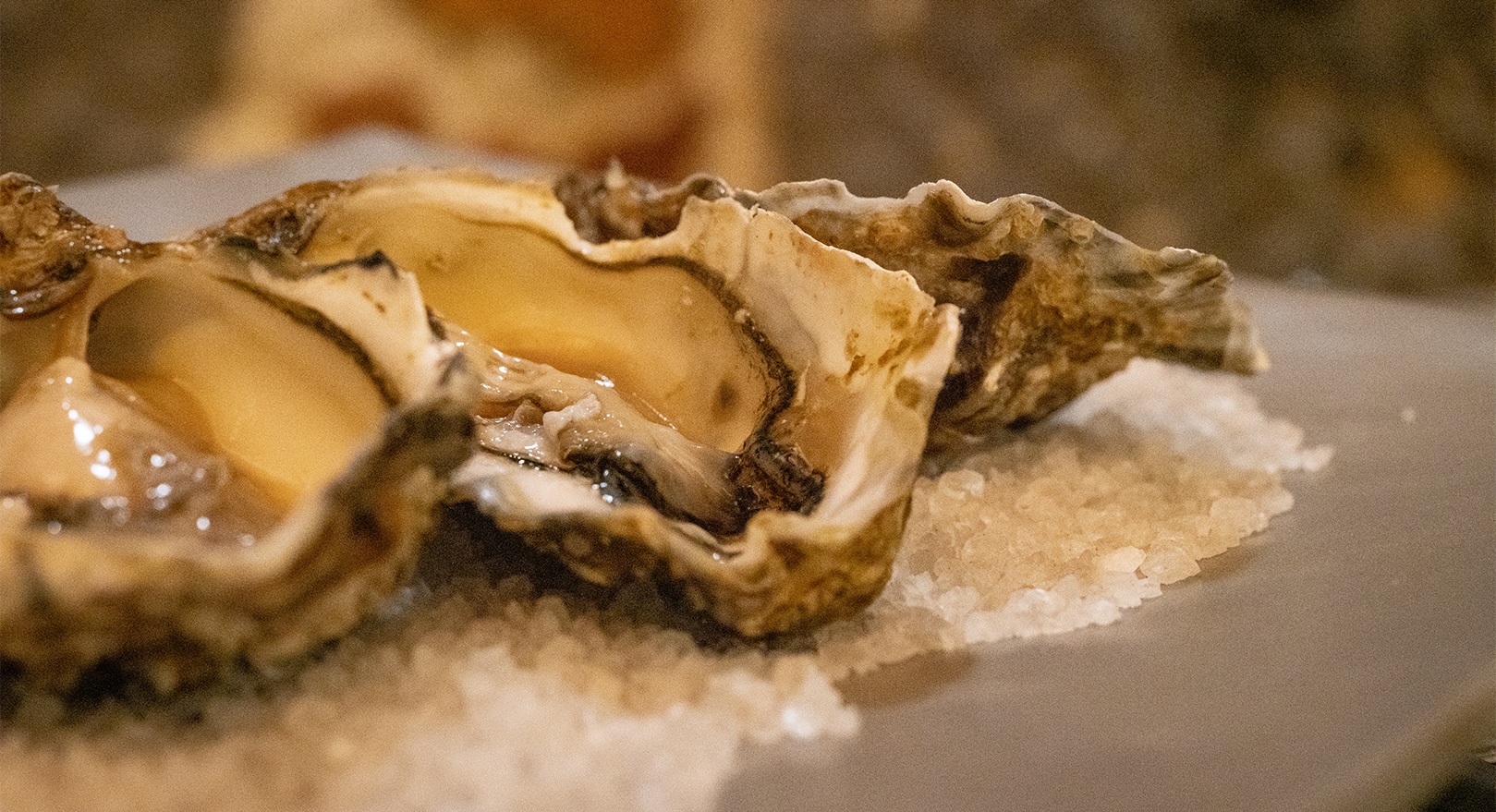 ostriche la spezia osteria carugio